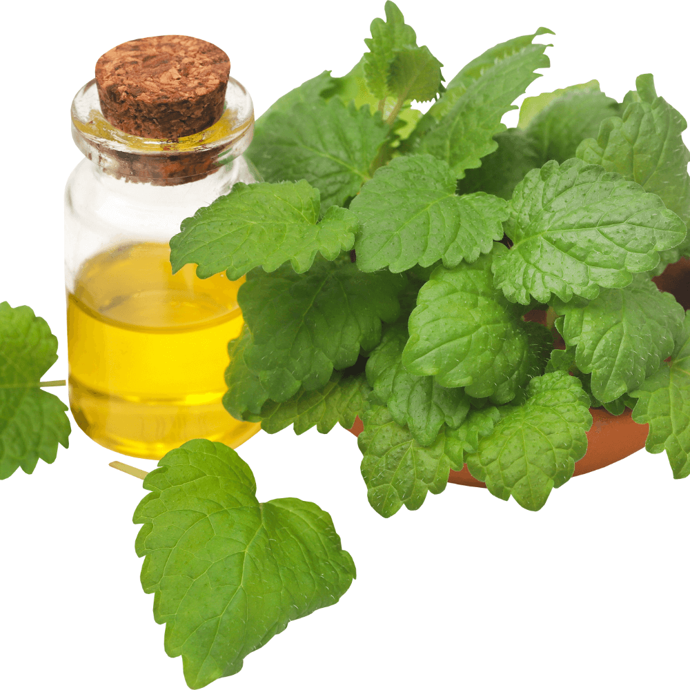 Elycura™ Afslankpleister