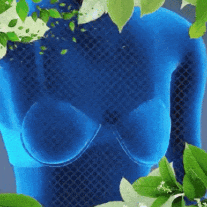 Healrize® 10-Pack Natural Breast Enhancement Patches